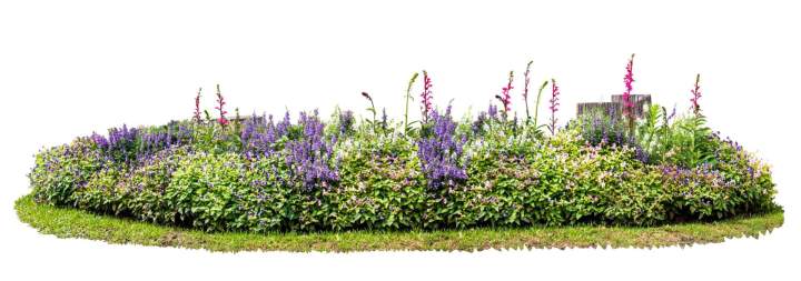 Jardin paysager Morlaàs