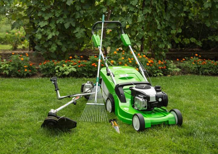 Entretien jardin paysagiste Lons