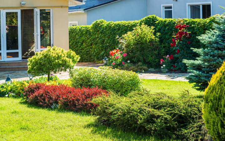 Jardin luxuriant Pau