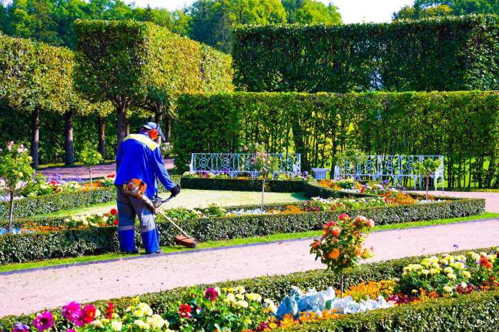 Conception jardin paysagiste Lons