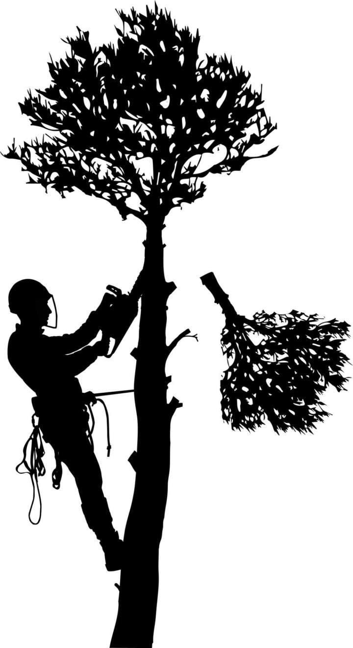 Aménagement extérieur jardinier Lescar