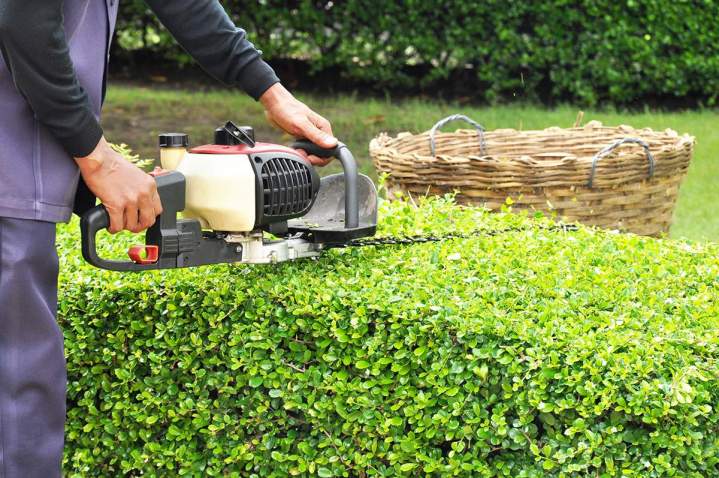Beauté et santé de vos jardins toute l'année.
